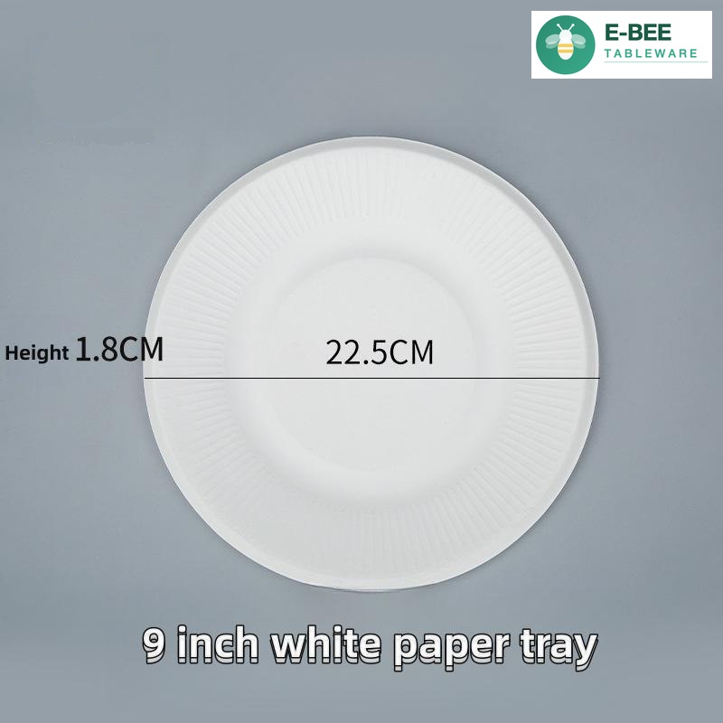 9 Inch Compartment White Bagasse Paper Plates for Party