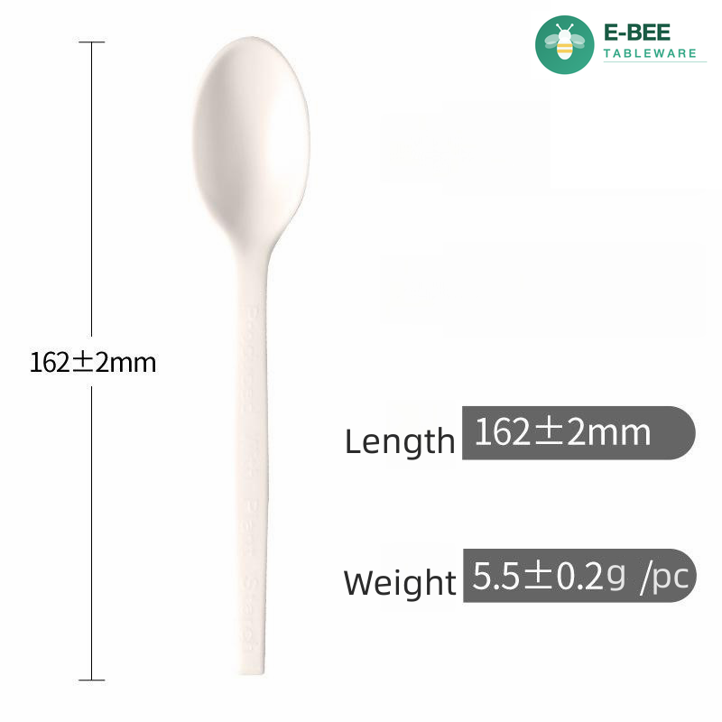 Disposable Spoon Set