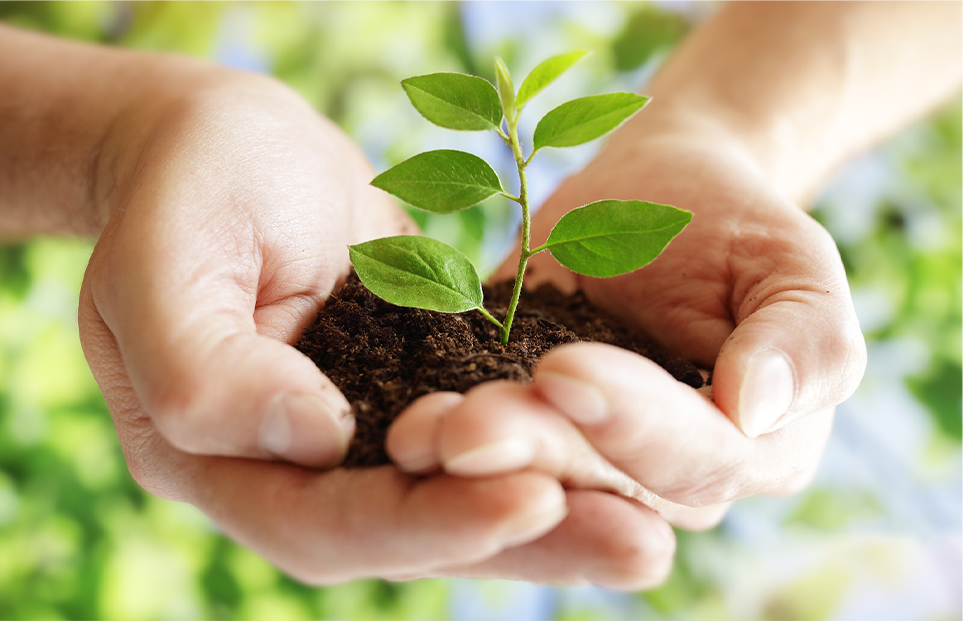 Eco-Friendly Production