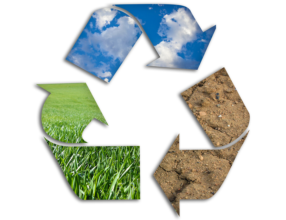 E-BEE Production Equipment