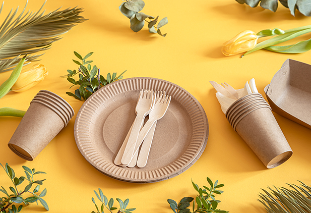Recyclable Tableware